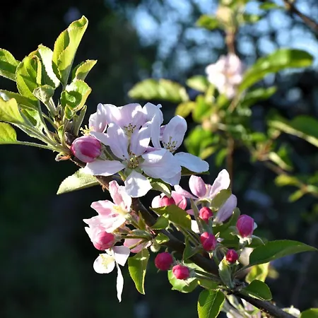 Serenity Views, Silver Coast, Pt Bombarral