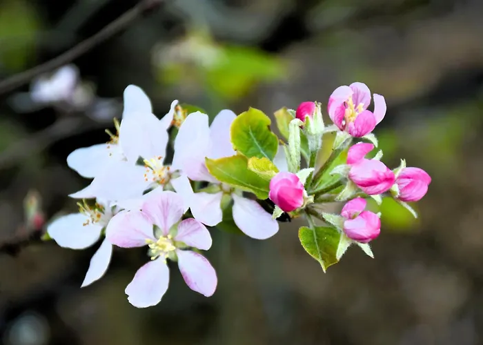 Serenity Views, Silver Coast, Pt